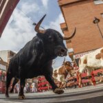 Seis heridos en el primer encierro de San Sebastián de los Reyes, uno con una cornada y un traumatismo craneoencefálico Seis heridos en el primer encierro de San Sebastián de los Reyes, uno con una cornada y un traumatismo craneoencefálico