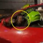 [Video] Conductor borracho armó show en su vehículo
