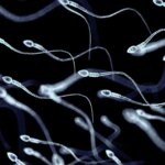 Color, textura, olor… Todo lo que el aspecto del semen puede decirte sobre tu salud, según un experto