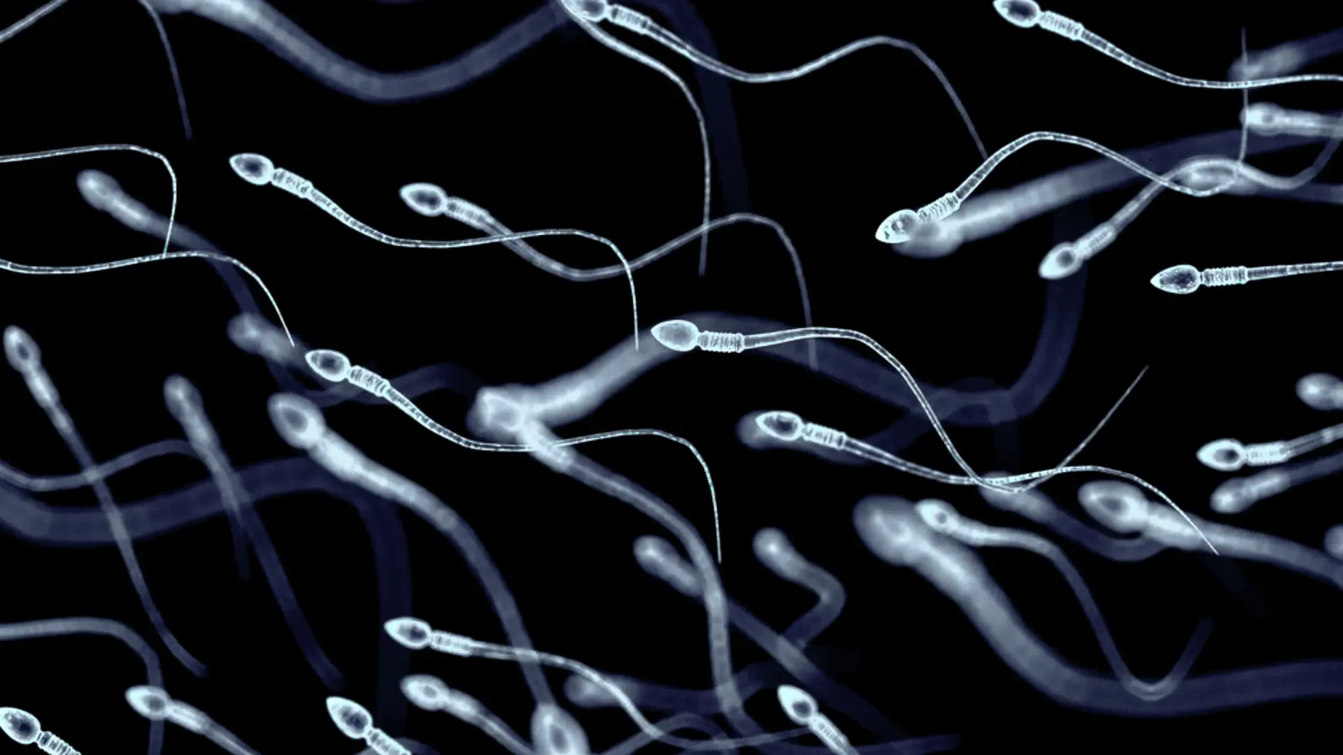 Color, textura, olor… Todo lo que el aspecto del semen puede decirte sobre tu salud, según un experto