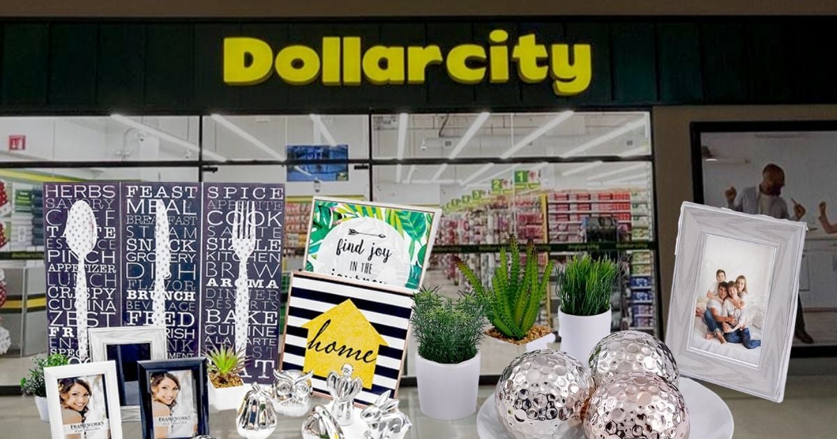 Seis productos de Dollarcity útiles y que muy pocos saben que venden; no cuestan más de  mil