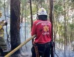 Bomberos luchan noche y día para controlar los incendios forestales Bomberos luchan noche y día para controlar los incendios forestales