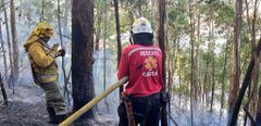 Bomberos luchan noche y día para controlar los incendios forestales Bomberos luchan noche y día para controlar los incendios forestales