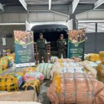Medellín: Decomisaron millonario cargamento de contrabando de ropa interior