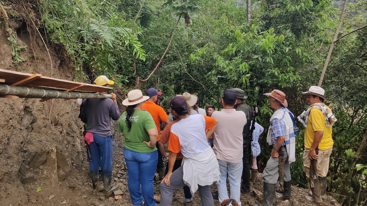 Verifican apertura no autorizada de una vía en área protegida en Antioquia Verifican apertura no autorizada de una vía en área protegida en Antioquia