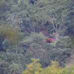 Alerta por aparición de maquinaria en reserva natural de Antioquia