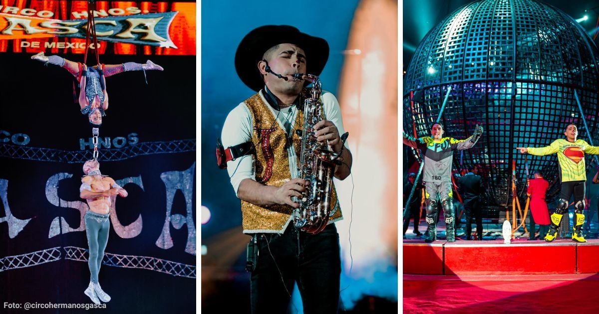 Cuánto cuesta visitar el Circo Hermanos Gasca en Bogotá y qué shows puede disfrutar