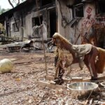en la casa de Kfir Bibas, el bebé de 9 meses secuestrado por Hamás