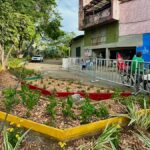 Medellín: Renuevan sector de Laureles con la siembra de 2.500 plantas Medellín: Renuevan sector de Laureles con la siembra de 2.500 plantas