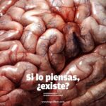 ‘Bogotá Short Film Festival’, edición 22