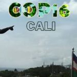 ¿Por qué de ganar Trump, el terreno ganado en la COP se puede ir al traste?