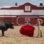 Una mujer ganadera cierra con sus toros la feria de Cali