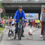 Ciclovía de Bogotá: anuncian cambios en las rutas Ciclovía de Bogotá: anuncian cambios en las rutas