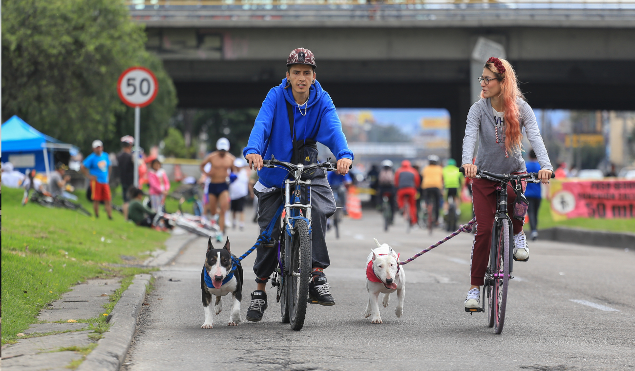 Ciclovía de Bogotá: anuncian cambios en las rutas Ciclovía de Bogotá: anuncian cambios en las rutas