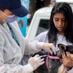 VACUNACIÓN GRATIS para las MASCOTAS: localidades y horarios