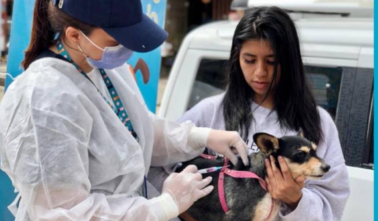 VACUNACIÓN GRATIS para las MASCOTAS: localidades y horarios VACUNACIÓN GRATIS para las MASCOTAS: localidades y horarios