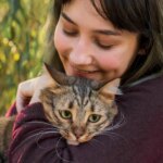 ¿Eres la persona favorita de tu gato? Esto es lo que hacen nuestras mascotas para elegirnos