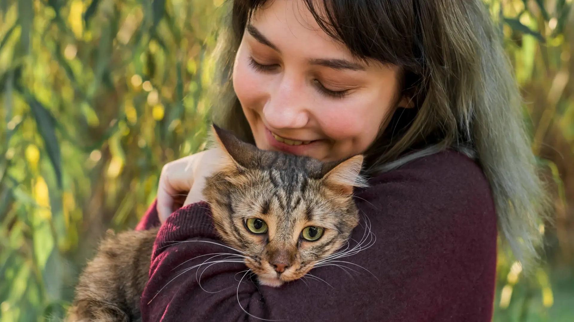 ¿Eres la persona favorita de tu gato? Esto es lo que hacen nuestras mascotas para elegirnos