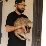 Los protocolos de evacuación con animales en Los Ángeles durante los incendios: medidas y normativa