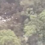 Noticias Antioquia: Se desconoce si hay sobrevivientes de avioneta en Urrao