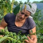 Noticias Antioquia: Invertirán 0 mil millones para sector agropecuario Noticias Antioquia: Invertirán 0 mil millones para sector agropecuario