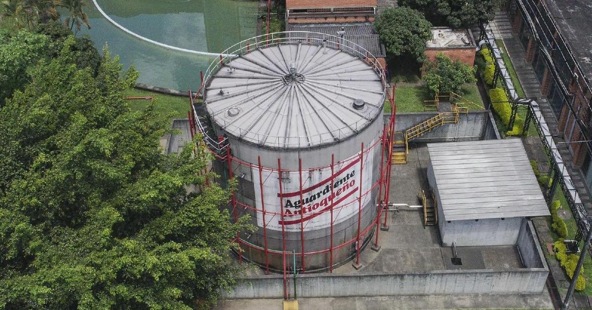 Noticias Antioquia: FLA logró más de 5 mil millones en utilidades Noticias Antioquia: FLA logró más de 5 mil millones en utilidades