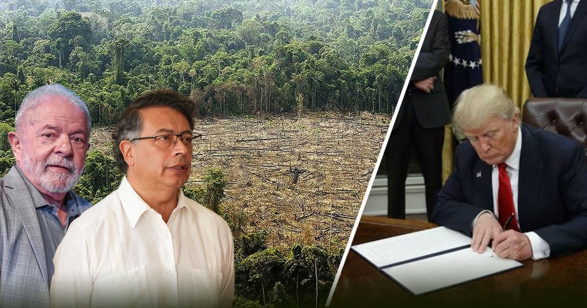 ¿Qué le espera al Amazonas y al medio ambiente de América Latina con Trump en el poder? ¿Qué le espera al Amazonas y al medio ambiente de América Latina con Trump en el poder?