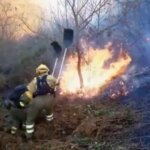 Asturias registra una veintena de incendios forestales en quince concejos Asturias registra una veintena de incendios forestales en quince concejos