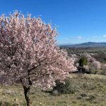 El pueblo donde nació Félix Rodríguez de la Fuente, uno de Los Más Bonitos de España El pueblo donde nació Félix Rodríguez de la Fuente, uno de Los Más Bonitos de España