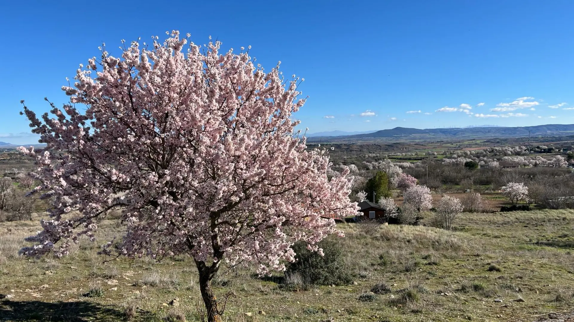 El pueblo donde nació Félix Rodríguez de la Fuente, uno de Los Más Bonitos de España El pueblo donde nació Félix Rodríguez de la Fuente, uno de Los Más Bonitos de España