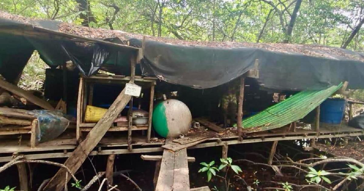 Noticias Antioquia: Desmantelado laboratorio de cocaína del Clan del Golfo