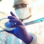 Descubren la lariodicina, una nueva molécula y «firme candidata» a antibiótico por su resistencia a las bacterias