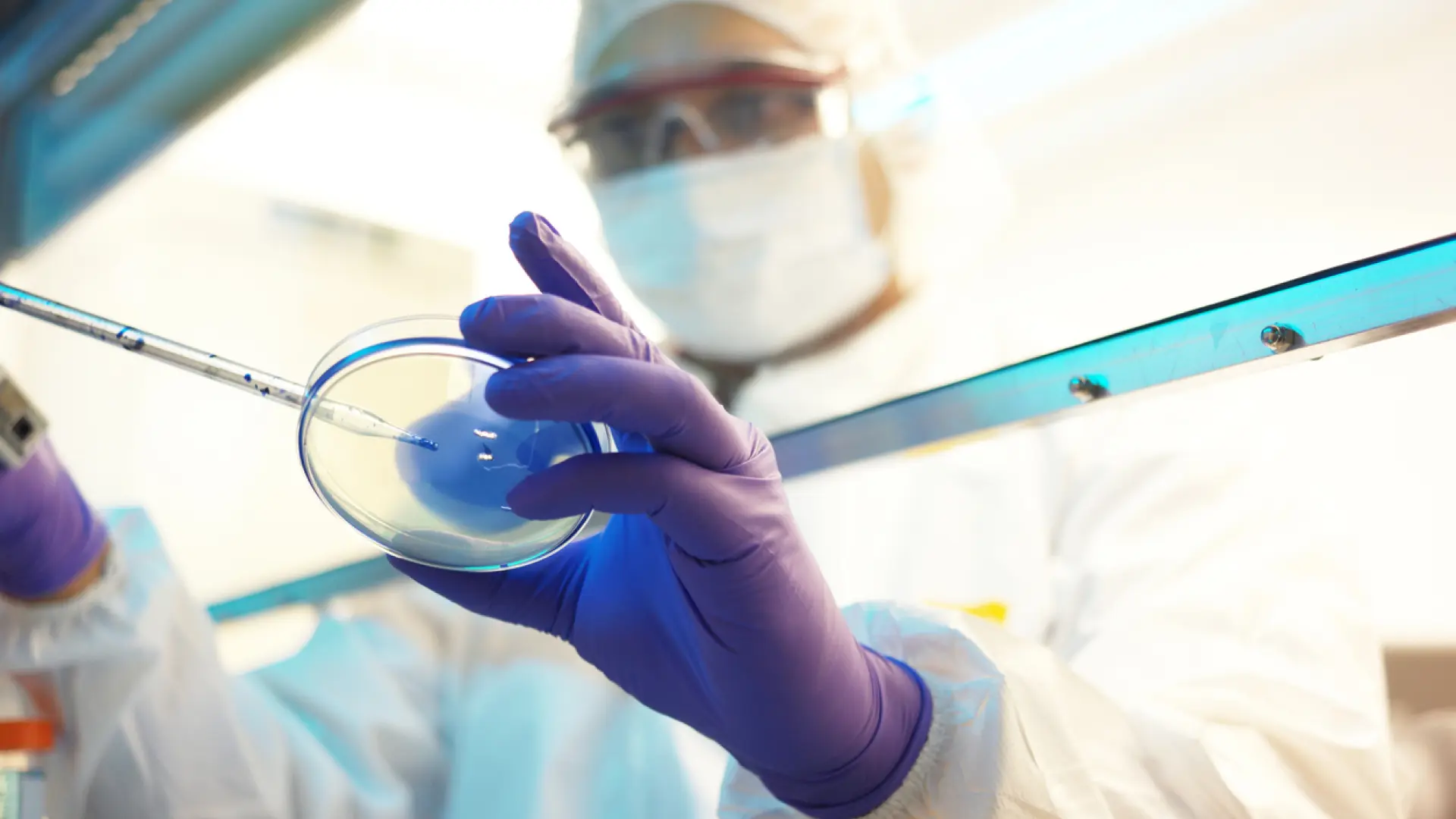Descubren la lariodicina, una nueva molécula y «firme candidata» a antibiótico por su resistencia a las bacterias Descubren la lariodicina, una nueva molécula y «firme candidata» a antibiótico por su resistencia a las bacterias