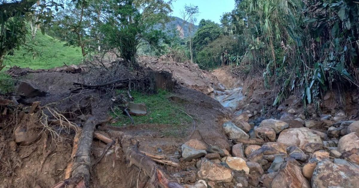 Noticias Antioquia: En Venecia realizan trabajos por fuertes lluvias Noticias Antioquia: En Venecia realizan trabajos por fuertes lluvias