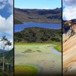 Travesía por Otún, Cocora y Paramillo; el recorrido imperdible que atraviesa tres departamentos