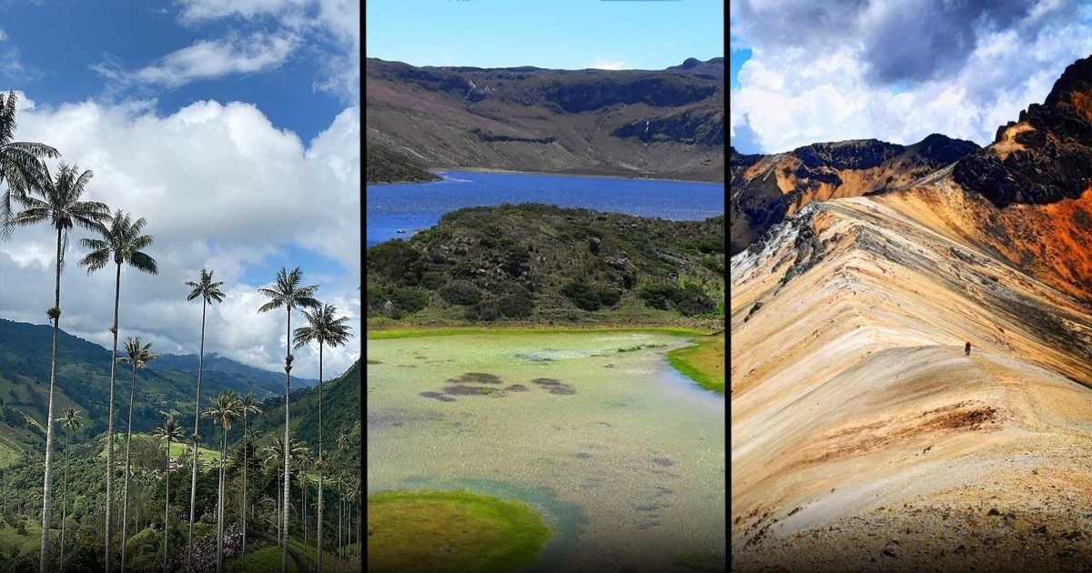Travesía por Otún, Cocora y Paramillo; el recorrido imperdible que atraviesa tres departamentos