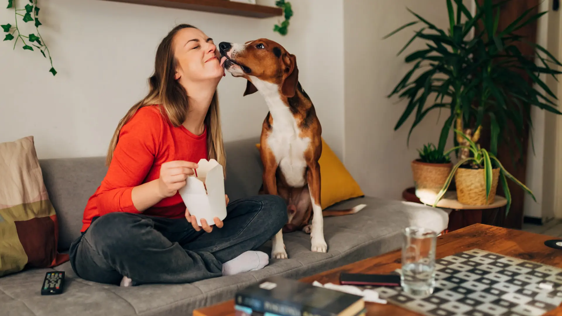 Los perros, un aliado inesperado en la lucha contra el linfoma y el cáncer Los perros, un aliado inesperado en la lucha contra el linfoma y el cáncer