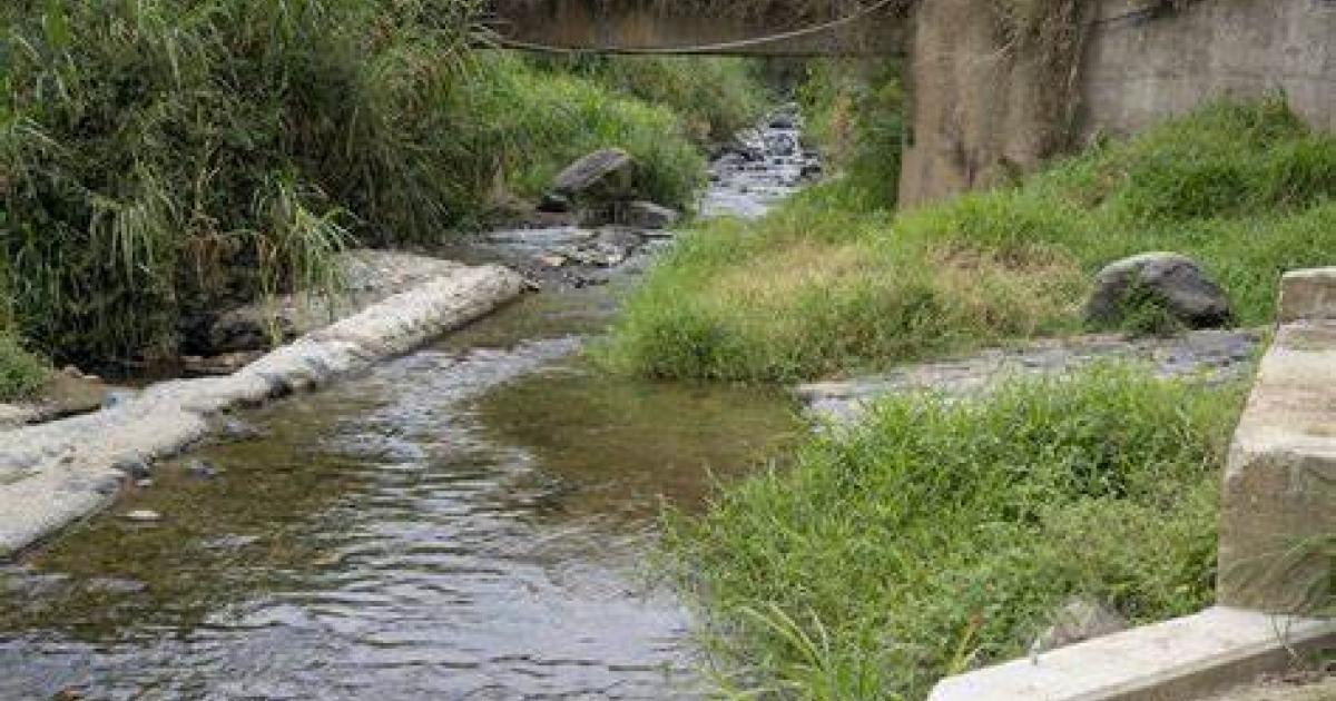 Noticias Medellín: Niño de seis años murió ahogado en la quebrada La Iguaná Noticias Medellín: Niño de seis años murió ahogado en la quebrada La Iguaná