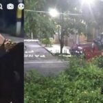 Noticias Bello: Capturaron a “Chuky”, presunto asesino de Sara Millerey