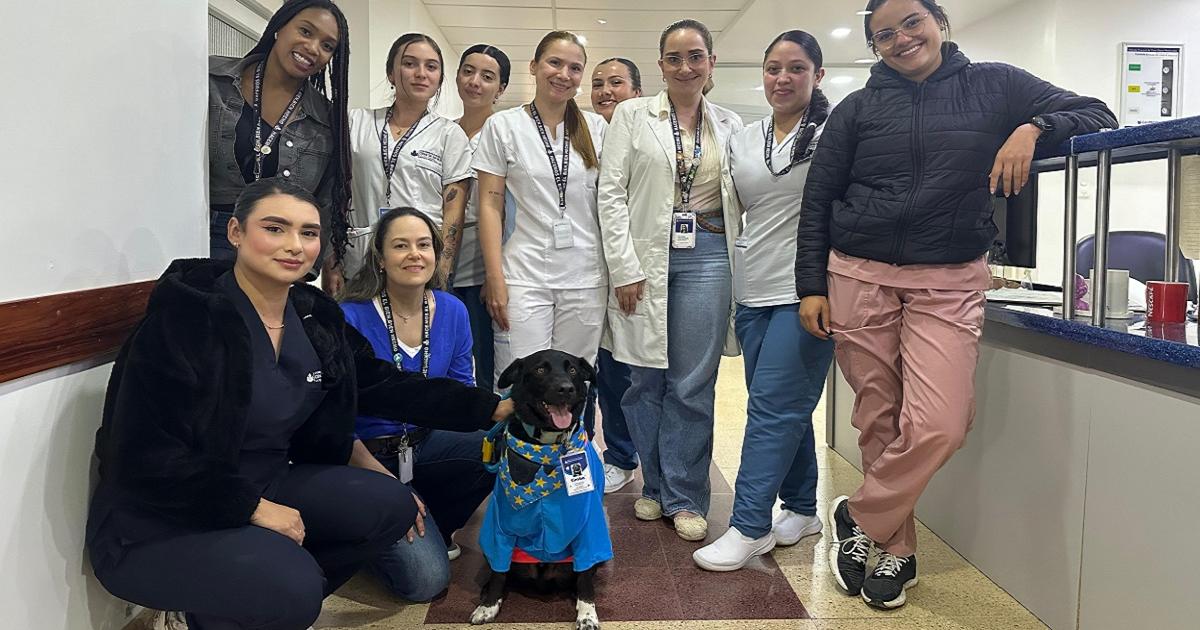 Noticias Antioquia: Llegó perro de ayuda emocional a clínica en la Ceja Noticias Antioquia: Llegó perro de ayuda emocional a clínica en la Ceja