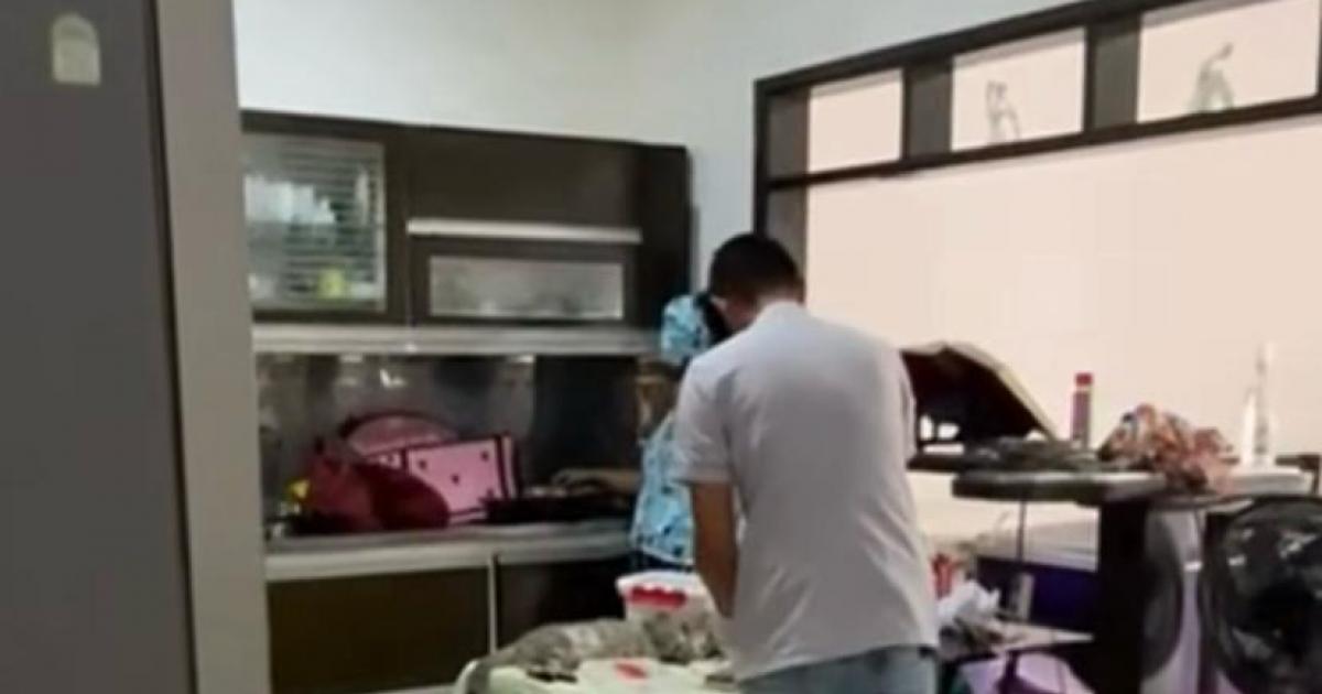 Noticias Antioquia: Mueren dos mascotas tras tras jornada de esterilización