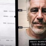 La lista Epstein que Trump prometía desempolvar sigue bajo la alfombra y sus simpatizantes estallan contra el presidente