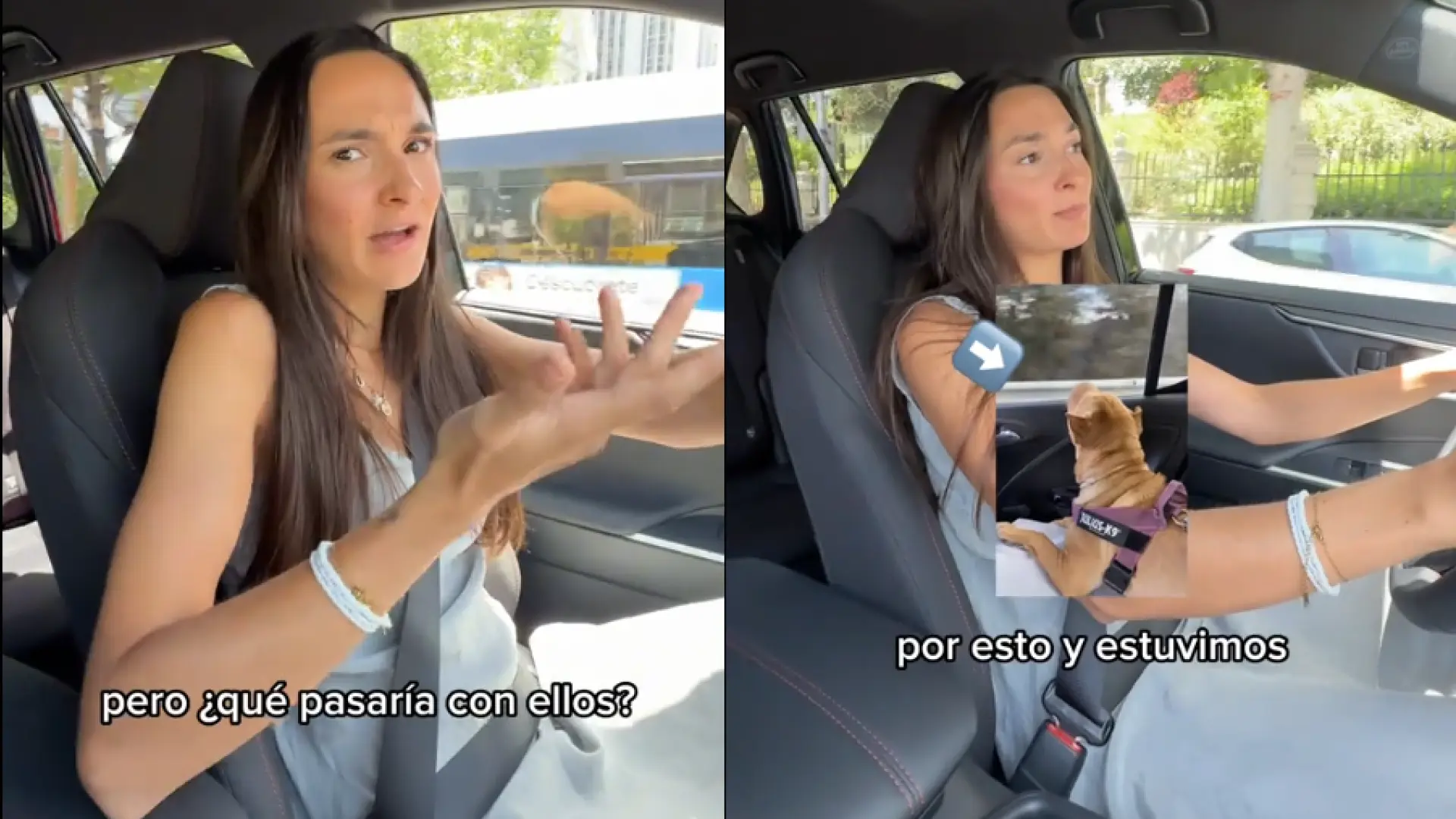 Una joven explica qué hacer en caso de sufrir un accidente de tráfico con tu mascota: «Puede salvar su vida» Una joven explica qué hacer en caso de sufrir un accidente de tráfico con tu mascota: «Puede salvar su vida»