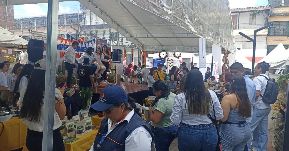 Noticias Antioquia: Cerca de 60 mujeres campesinas de Maceo son empresarias Noticias Antioquia: Cerca de 60 mujeres campesinas de Maceo son empresarias