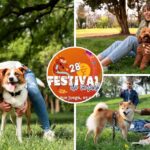Villa Peluda en Bogotá: así se gozarán el Festival de Verano las mascotas