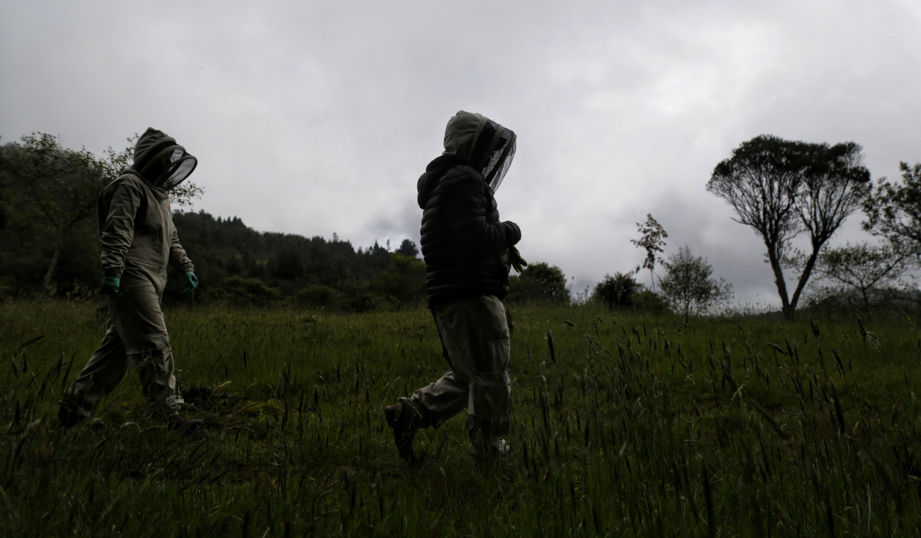 Subir a los cerros podría salirle caro:lo que debe saber para no embarrarla Subir a los cerros podría salirle caro:lo que debe saber para no embarrarla