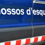 una media de 155 al día