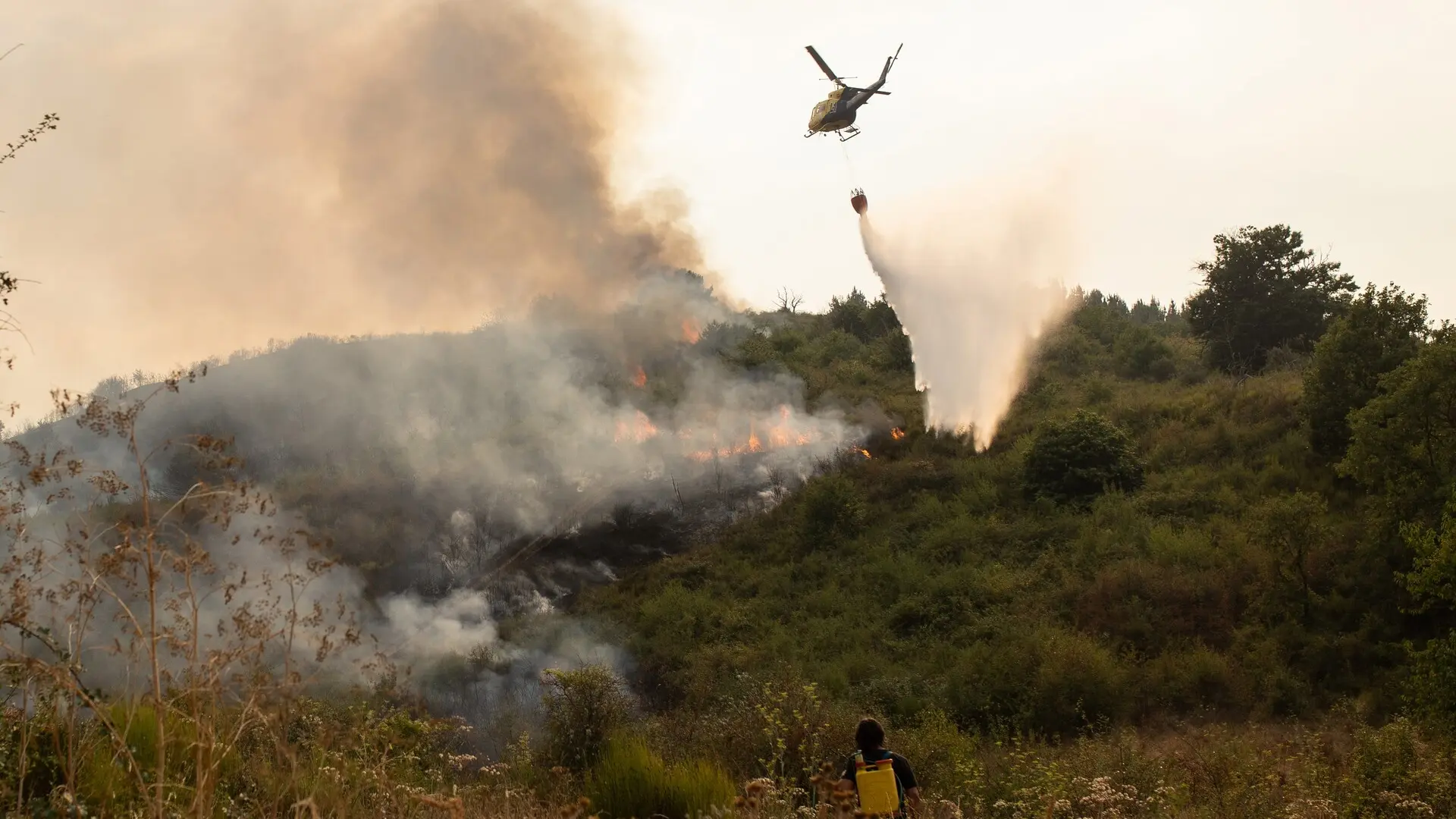 Detenido un hombre de 75 años que hizo una hoguera para cocinar y provocó el incendio de Molinaseca Detenido un hombre de 75 años que hizo una hoguera para cocinar y provocó el incendio de Molinaseca