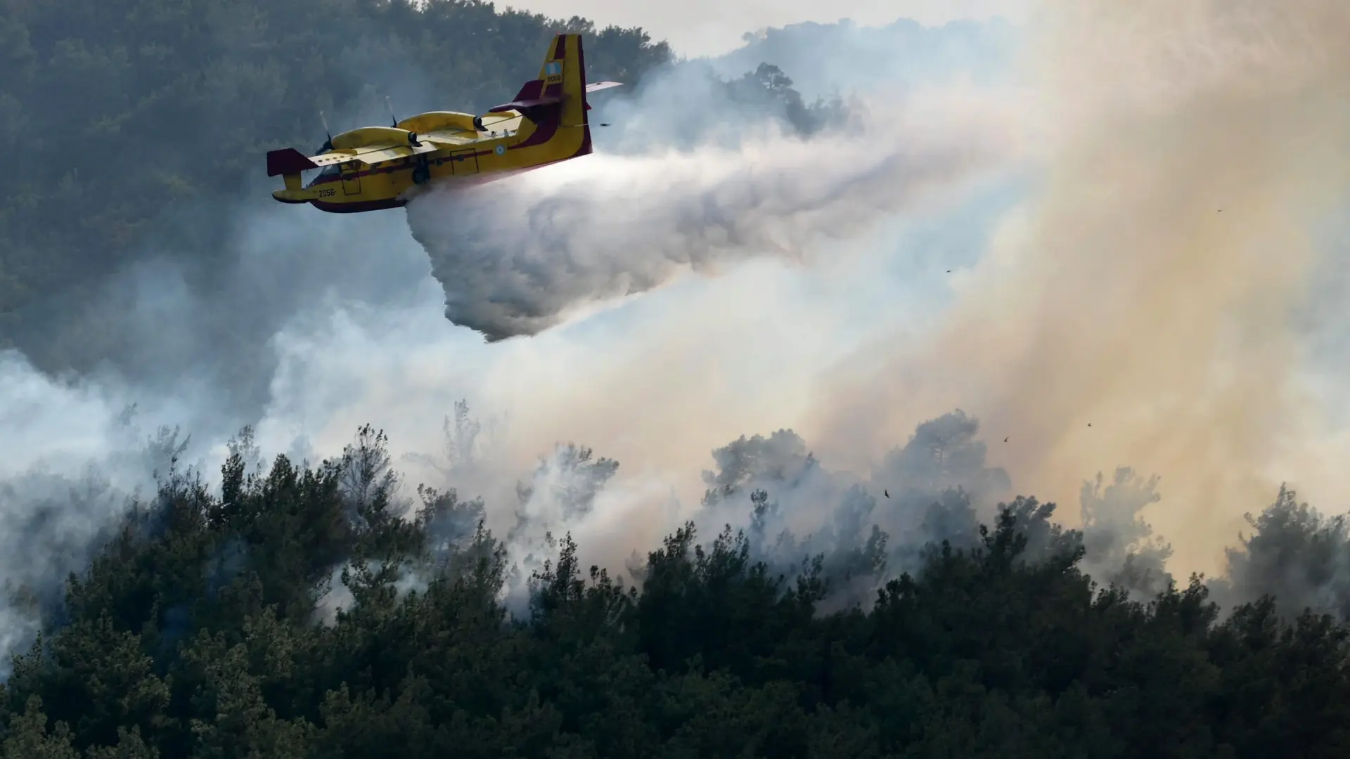 El Gobierno solicita ayuda a la Unión Europea para luchar contra la oleada de incendios que arrasa España El Gobierno solicita ayuda a la Unión Europea para luchar contra la oleada de incendios que arrasa España