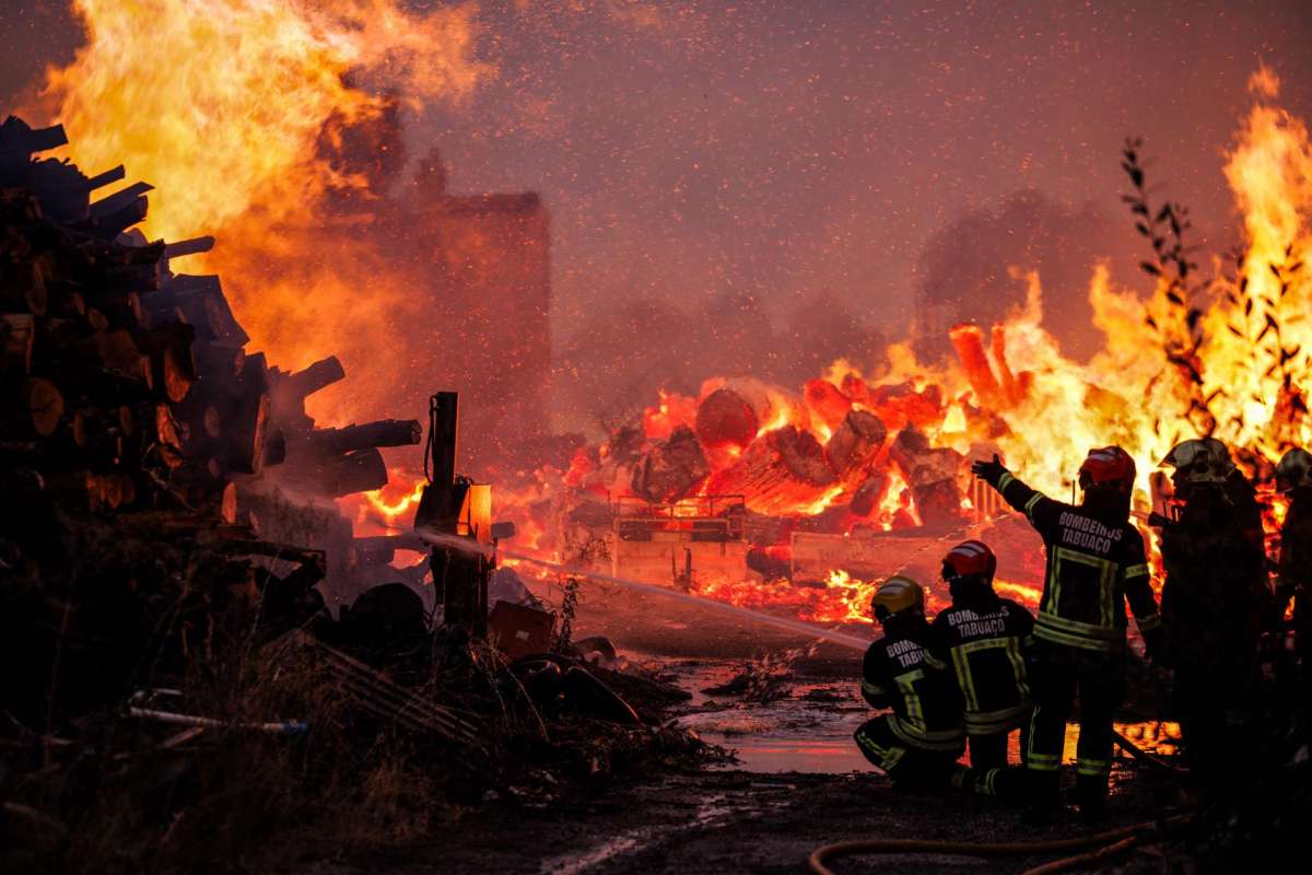 Portugal también arde: los incendios forestales arrasan más de 200.000 hectáreas Portugal también arde: los incendios forestales arrasan más de 200.000 hectáreas